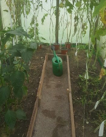 Setting Up A Greenhouse, How To Set Up A Greenhouse, Greenhouse Setup, 6x8 Greenhouse, Greenhouse Studio, Green House Garden, Greenhouse Base, Garden Huts, Greenhouse Frame