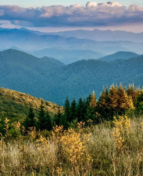 Appalachia Aesthetic, Landscape Reference, Western Nc, Appalachian Mountains, Appalachian Trail, Tennessee, North Carolina, Country Roads, Road