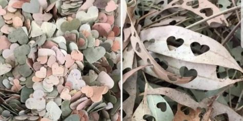 Natural Confetti Ideas, Leaf Confetti Wedding Photos, Confetti Wedding Photo, Homemade Confetti, Natural Confetti, Woman Hacks, Leaf Confetti, Flower Girl Petals, Biodegradable Confetti