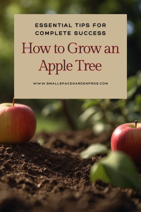 Dreaming of growing your own apple tree? Our guide on how to grow an apple tree offers essential tips for complete success. Learn everything from planting and caring for your tree to ensuring a bountiful harvest. Perfect for aspiring orchardists and home gardeners looking to enjoy fresh, homegrown apples. #AppleTree #GardeningTips #HomeGrown #FruitTrees #Orchard #GardenGuide Planting Apple Trees, Growing Apple Trees, Farm Goals, Apple Tree Care, Apple Tree From Seed, Baby Apple, Woodland House, Apple Farm, Apple Varieties