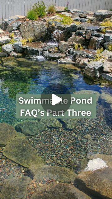 Pond With Fish, Landscape Inspiration, Youtube Video, Have You Ever, Youtube Videos, Landscaping, More Information, Fish, Patio