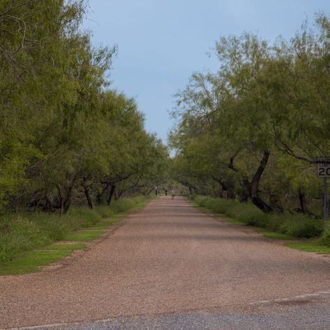 McAllen, located in Texas's Rio Grande Valley, is a great destination for experiencing history, nature, art, and food. Rio Grande Valley Texas, Mcallen Texas, Pancho Villa, Valley Landscape, Rio Grande Valley, Packing Lists, Texas History, Entertainment District, Heritage Center