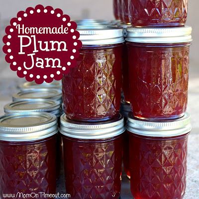 Homemade Plum Jam | MomOnTimeout.com SO much better than store bought jam! Wild Plum Jelly Recipe, Plum Jam Recipe, Plum Jam Recipes, Plum Recipes, Jam Recipes Homemade, Canning Jam, Canning Food Preservation, Plum Jam, Jam And Jelly