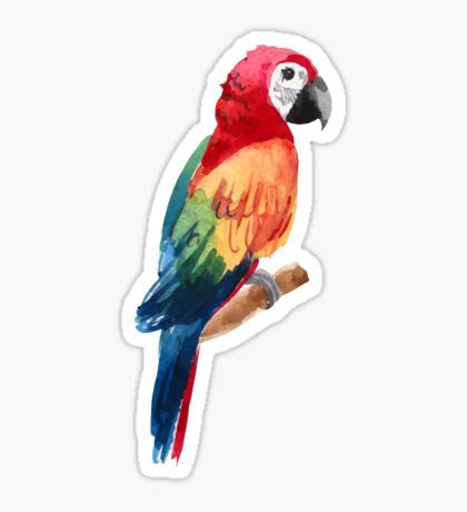 Parrot Sticker Parrot Sticker, Homemade Stickers, Bubble Stickers, Stickers Cool, Tumblr Stickers, Hydroflask Stickers, Sticker Packs, Stickers For Sale, Animal Stickers