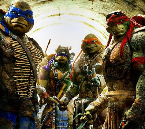 Ninja Turtles Pictures, Earth To Echo, Turtle Background, Ninja Turtles 2014, Tmnt 2014, Tmnt Wallpaper, Mestre Splinter, Ninja Turtles 2, Teenage Mutant Ninja Turtles Movie