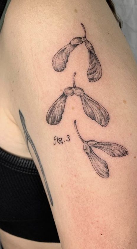 Helicopter Plant Tattoo, Fig 1 Fig 2 Tattoo, Maple Leaf Seed Tattoo, Helicopter Leaf Tattoo, Aesthetic Nature Tattoos, Small Bug Tattoo Ideas, Textbook Tattoo, Leaf Bug Tattoo, Inchworm Tattoo