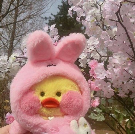 Cute Ducklings, Duck Toy, Cute Duck, Baby Ducks, Kawaii Aesthetic, Cute Stuffed Animals, Aesthetic Pics, Cute Toys, Pretty And Cute