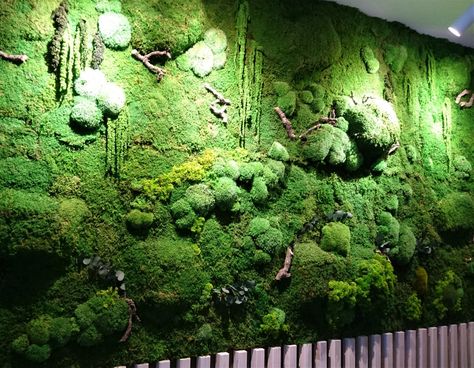 Moss Panels, House Jungle, Moss Frame, Preserved Moss Wall, Moss Decor, Living Wall Art, Art Live, Reindeer Moss, Led Wall Art