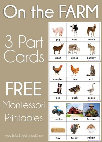 Farm Animals Preschool, Montessori Printables, Farm Animals Theme, Farm Preschool, Animal Printables, Animal Flashcards, Montessori Toddler Activities, Farm Activities, Animals Farm