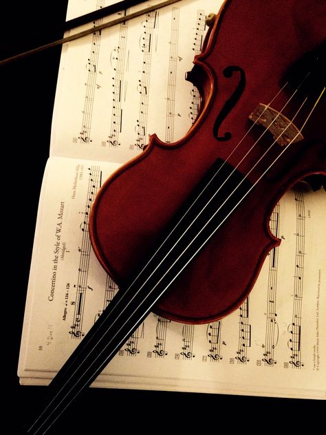 My gorgeous red violin. Red Violin Aesthetic, Toh Covens, Red And Cream Aesthetic, Red Music Aesthetic, Red Violin, Acedamia Aesthetic, 1800s Aesthetic, Black Violin, French Icons