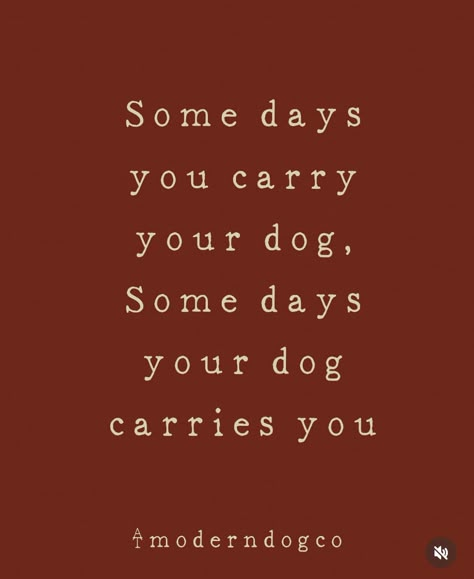 Dogs Make Everything Better Quotes, Loving Dogs Quotes, Reactive Dog Quotes, Dog People Quotes, Dogs Quotes Love, Sayings About Dogs, Pet Lovers Quotes, Quotes About Dogs, Dog Mom Quotes