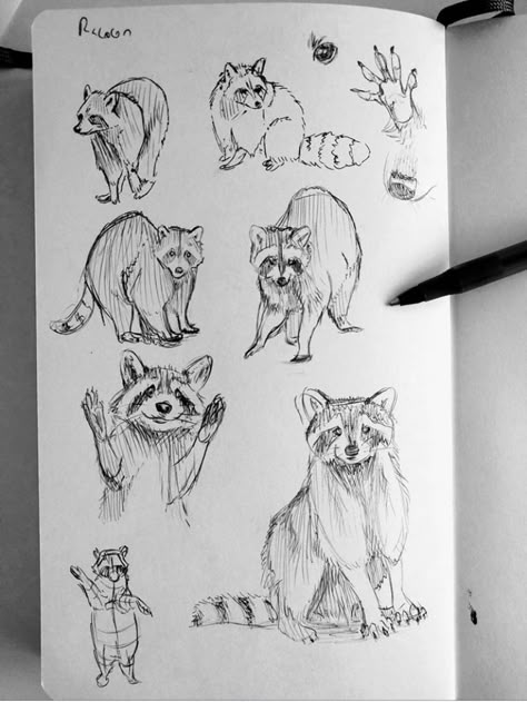 Drawings Of Animals, Arte Aesthetic, Animal Drawings Sketches, 강아지 그림, Animal Study, Art Apps, Drawing Faces, Art Animals, Animals Art