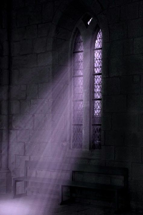 #spooky #halloween Fantasy Aesthetic Purple, Black And White And Purple Aesthetic, Purple Fantasy Aesthetic, Purple Gothic Aesthetic, Cleric Aesthetic, Purple Goth, Purple Gothic, Violet Aesthetic, Catty Noir