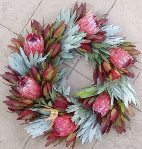 Silver tree and red Leucadendron’s set off the Pink of the protea in this colorful wreath - Different - could be used as a table center piece. Wreath Decorating Ideas, African Christmas, Aussie Christmas, Australian Christmas, Tafel Decor, Deco Nature, Mums Homecoming, Summer Christmas, Homecoming Mums