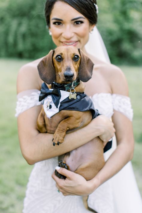 Small Dog Wedding Tuxedo, Dog Tuxedo Suit, Tailored, Made to Measure, Choose Fabric and Bowtie Colors, Sausage Dog Tuxedo, Wedding Attire Dog Tuxedo Wedding, Dachshund Wedding, Dog Wedding Attire, Low Key Wedding, Wedding Shot List, Dog Tuxedo, Wedding Tuxedo, Dog Photoshoot, Wedding Picture Poses