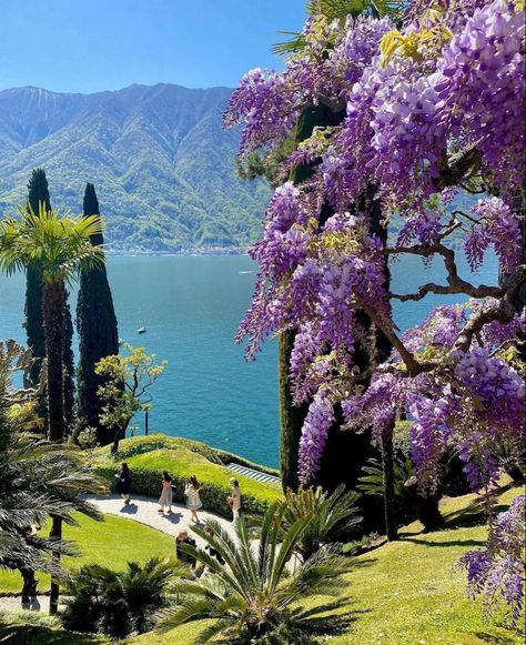 Villa Del Balbianello, Lake Como Italy, Italy Map, Como Italy, Spring Trip, Beautiful Villas, Northern Italy, Lake Como, Dream Destinations