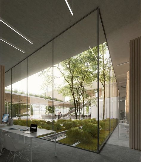 Atrium Garden, Coffee House Design, Atrium House, Atrium Design, Glass Partition Wall, Feature Wall Design, Warehouse Design, Courtyard Design, H Design