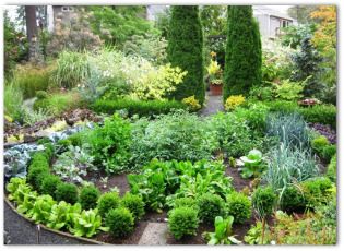 free garden layout designs - vegetable knot garden. Lots of good info! Circular Vegetable Garden, Garden Design Layout Modern, Vegetable Garden Planner, Vertical Vegetable Garden, Garden Layout Vegetable, Vegetable Garden Planning, Potager Garden, Backyard Vegetable Gardens, Organic Vegetable Garden