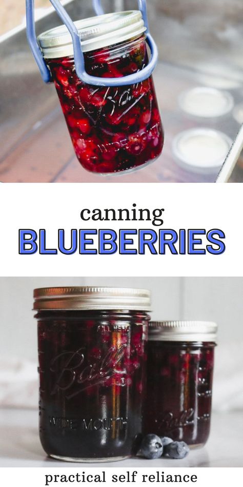 Canning whole blueberries is a simple way to preserve blueberries for winter baking, or simply eating right out of the jar. Preserve Blueberries, Freezing Blueberries, Canning Blueberries, Dehydration Recipes, Canning Fruit Recipes, Storing Food Long Term, Canning Peaches, Pressure Canning Recipes, Canned Blueberries