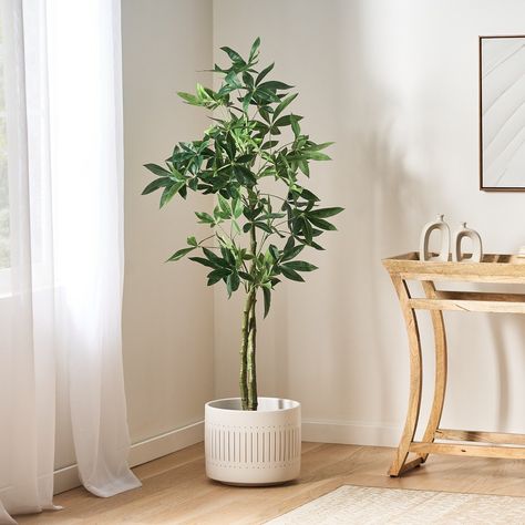 Infuse your indoor garden, living room, or bedroom with prosperity and style using the Gulches 63 Inch Artificial Lucky Money Tree. This pre-potted plant is designed with lifelike leaves and a sturdy trunk, capturing the essence of the traditional money tree believed to bring good fortune. Standing at 63 inches, it serves as an impressive focal point, adding a touch of elegance and greenery to any space. Enjoy the charm and symbolism of the lucky money tree without the need for maintenance, making it a perfect addition to your home decor. Money Tree Plant, Lucky Money, Garden Living Room, Indoor Gardens, Money Tree, Money Trees, Garden Living, Good Fortune, Indoor Garden