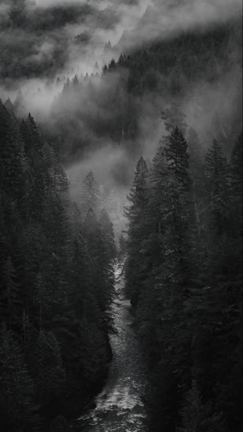 Dark Mountain Aesthetic, Mountain Wallpaper Desktop, Rainy Wallpaper, Dark Mountains, Dark Naturalism, Dark Forest Aesthetic, Mountain Aesthetic, Rainy Day Aesthetic, Amoled Wallpapers