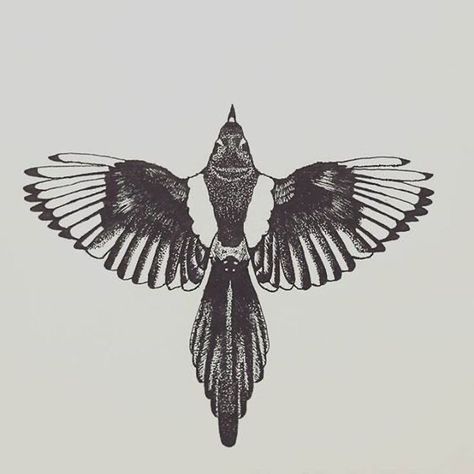 Artistic Bird Tattoo, Crow Tattoo Traditional Old School, Patchwork Bird Tattoo, Black Phoebe Bird Tattoo, Sparrow Hawk Tattoo, European Starling Tattoo, Woodcut Bird Tattoo, Trad Bird Tattoo, Folky Tattoo