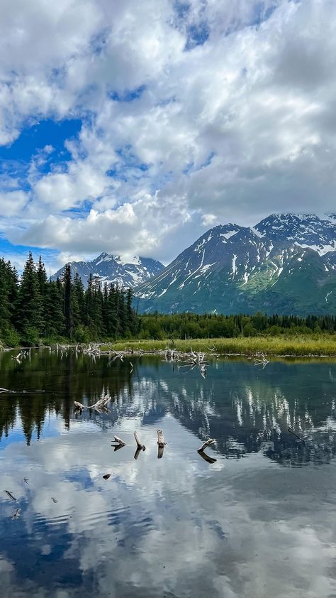 @juniperknots shared a video on Instagram: “Love this spot 👌 Where’s your favorite place to sit & dissolve slowly?Comment below ⬇️ 📍Eagle River Nature Center, Alaska | Dena’ina land…” • Jun 15, 2022 at 6:26pm UTC Nature Center, Travel Ideas, A Video, Alaska, Favorite Places, Natural Landmarks, Travel, Instagram, Nature