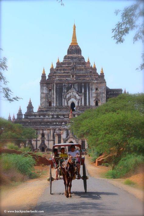 The temple city of Bagan is one of the four top traveller hotspots in Myanmar. The ENTIRE city is filled with temples. Everywhere. Over 2,000 of them Myanmar Pagoda, Bagan Temples, Vintage Myanmar, Horse Cart, Bagan Myanmar, Myanmar Art, Cheapest Flights, Temple City, Myanmar Travel