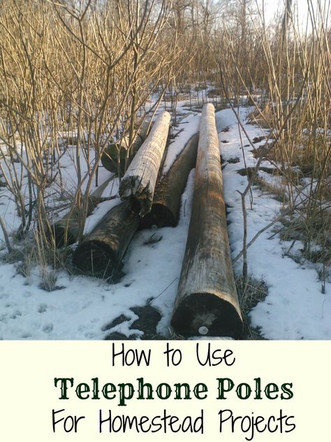 Are you like me, and have an ever-growing list of homestead improvement projects? Try using telephone poles! We have a large pier-and-beam barn on the homestead that once upon a time was used as a … Telephone Pole, Building A Pole Barn, Off Grid Homestead, Cordless Telephone, Garden Poles, Raising Backyard Chickens, Future Farms, Small Woodworking Projects, Bird Houses Diy