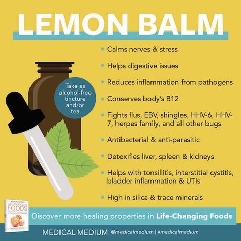 Health Benefits Of Lemon, Detoxifying Liver, Mineral Food, Melissa Officinalis, Medium Recipe, Benefits Of Lemon, Thyroid Healing, How To Calm Nerves, Lemon Benefits