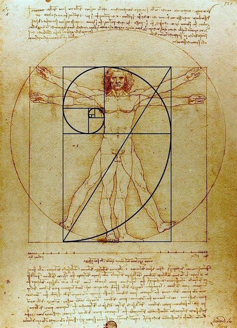 Da Vinci - Vitruvian Man Golden ratio 1:1.618 - perfect architectural proportions - classical proportions Proportion Art Design, Da Vinci Proportions, Da Vinci Golden Ratio, Proportion In Architecture, The Golden Ratio Art, Vitruvian Man Tattoo, Fibonacci In Architecture, Golden Ratio Art, Golden Ratio Architecture