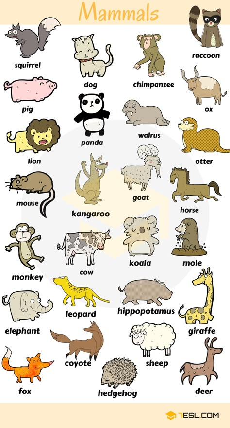 3.3Kshares Learn animals vocabulary/ animal names through pictures. Everybody loves animals, keeping them as pets, seeing them at the zoo or visiting … Animals Name In English, Animals Name, Animal Names, Learning English For Kids, Kids English, List Of Animals, English For Kids, English Language Teaching, English Lessons For Kids