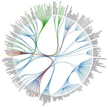 big data, big insights Data Visualization Art, System Mapping, Data Visualization Techniques, Phylogenetic Tree, Ancestry Tree, Music Suggestions, Flow Charts, Big Data Visualization, Visualization Techniques