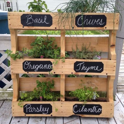 Herb Pallet, Easy Small Garden Ideas, Pallet Herb Garden, Herb Garden Pallet, Functional Garden, Pallet Projects Garden, Outdoor Herb Garden, Amazing Backyard, Bucket Gardening