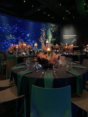 Mystical Underwater Mitzvah Celebration at The New York Aquarium | 7 more photos on PartySlate Pink Bat Mitzvah, Coral Centerpieces, Outdoor Rehearsal Dinner, Life Underwater, Mitzvah Themes, Baby Shower Venues, Birthday Venues, Nyc Photos, Bat Mitzvah Party