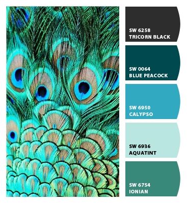 Peacock Colour Palette Living Room, Peacock Theme Bedroom Ideas, Peacock Colored Bedroom, Pour Paint Color Combinations, Bedroom Peacock Colors, Peacock Colors Wedding, Peacock Wedding Colors Palette, Peacock Color Palette Bedroom, Peacock Color Scheme Living Room