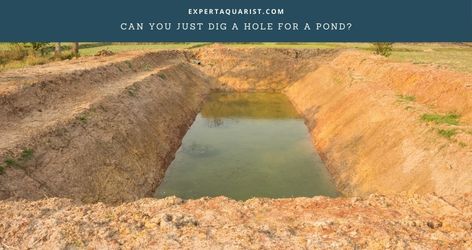 How To Make A Pond, How To Build A Pond, Build Pond, Digging A Pond, Pond Building, Build A Pond, Small Fish Pond, Diy Ponds Backyard, Retention Pond