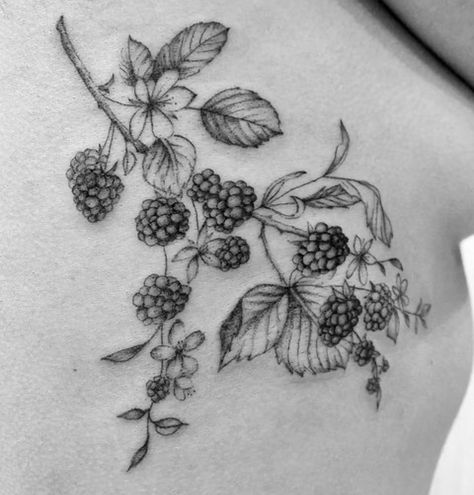 Blackberry Vine Tattoo Arm, Black And White Raspberry Tattoo, Fine Line Blackberry Tattoo, Blackberry Tattoo Sleeve, Rasberry Tattoos Simple, Blackberry Tattoo Design, Mulberry Tree Tattoo, Wild Blackberry Tattoo, Rowan Berry Tattoo