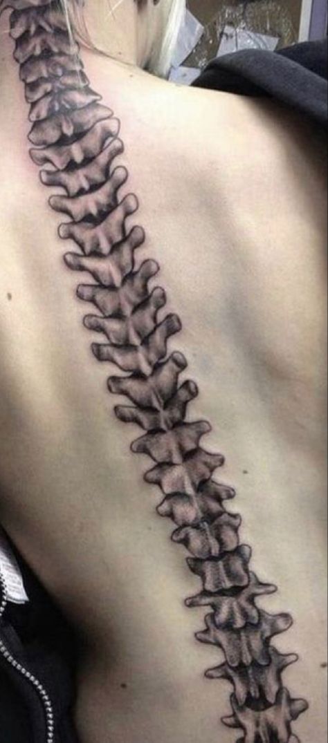 Spinal Cord Anatomy Tattoo, Spinal Bone Tattoo, Spine Bones Tattoo, Spine Vertebrae Tattoo, Spine Tattoo Skeleton, Tail Bone Tattoo, Bone Back Tattoo, Arm Bone Tattoo, Skeleton Spine Tattoo