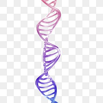 gene,3d,model,dna,abstract,stereoscopic,purple,blue Dna Replication Model, Model Dna, Dna Project, Mask Png, Dna Helix, Dna Technology, Dna Replication, Dna Design, Dna Sequence