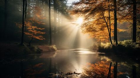 Photo autumn's embrace misty morning in ... | Premium Photo #Freepik #photo Forest With Sunlight, Misty Morning, Misty Forest, Forest Landscape, Autumn Landscape, In The Forest, Nature Scenes, Premium Photo, Light And Shadow