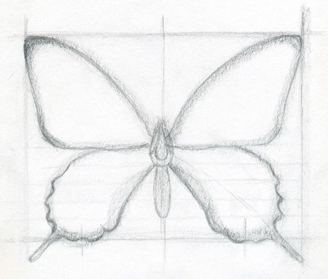 ❣ Butterfly sketch Sketch Lessons, Draw A Butterfly, Butterfly Drawings, Butterfly Sketch, Learning To Draw, Draw Easy, Easy To Draw, Posca Art, Butterfly Drawing