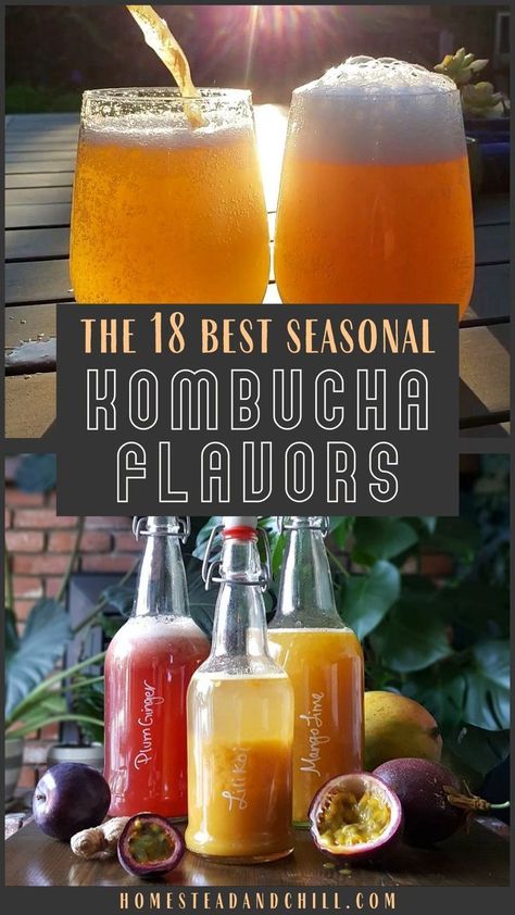 Homemade Kombucha Flavors, Kombucha Recipe Flavored, Kombucha Flavors Recipes, How To Freeze Tomatoes, Recipes Butternut Squash, Homemade Chili Powder, Best Kombucha, Butternut Squash Pie, Make Apple Cider