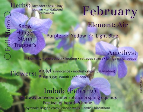 February Magical Correspondences, February Correspondences, Monthly Correspondences, February Magick, Wicca Holidays, Magickal Correspondences, Full Moon Spells, Witchy Planner, Winter Blessings