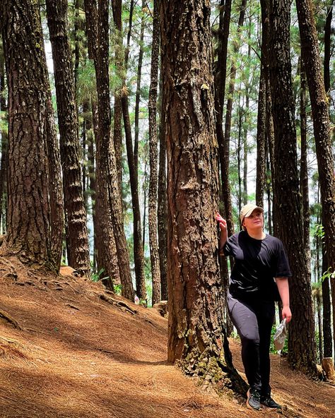 📍Vagamon Pine Forest We are back by the sea but slightly missing the cooler breeze of the mountains We Are Back, Pine Forest, By The Sea, The Mountain, The Sea, Forest, Quick Saves