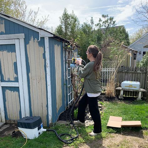 Paint Shed, Painted Sheds, Shed Transformation, Wagner Paint Sprayer, Blue Shed, Cool Sheds, Painted Shed, Shades Of Dark Blue, Climbing Hydrangea