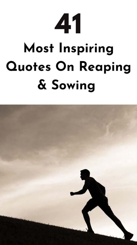 Harvest success with these inspiring quotes on reaping and sowing to create a life rich in rewards. #reapingquotes #sowingquotes Harvest Quotes, Most Inspirational Quotes, Most Inspiring Quotes, Believe In Yourself, Inspiring Quotes, To Create, Inspirational Quotes, Quotes