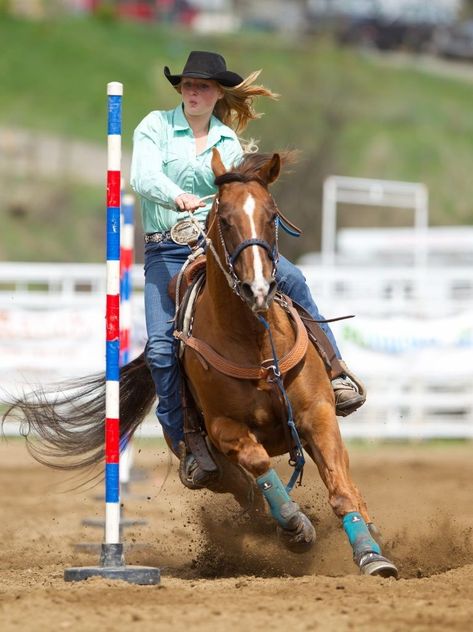 High School Rodeo, Western Horsemanship, Pole Bending, Rodeo Cowboys, Horse Riding Tips, Barrel Racing Horses, Rodeo Horses, Barrel Horse, Rodeo Life