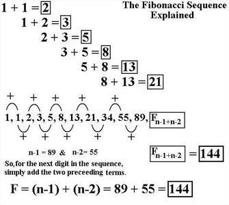 calculate fibonacci sequence Leonardo Fibonacci, Numerology Calculation, Numerology Life Path, Fibonacci Sequence, Numerology Numbers, Numerology Chart, Singapore Math, Golden Ratio, Math Tricks