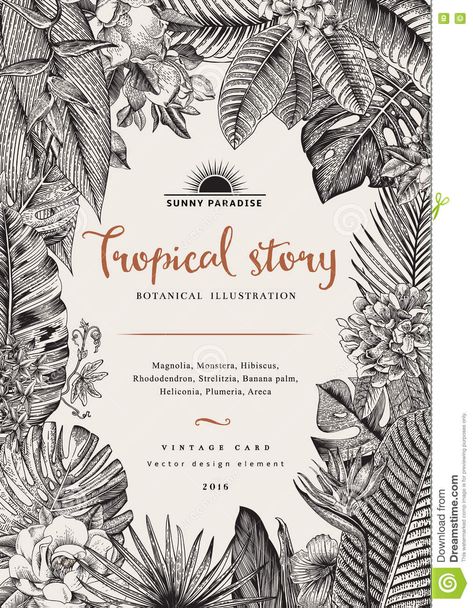 Tropical Wedding Card, Leaves Black And White, Tea Packaging Design, Floral Drawing, Nature Posters, Grafic Design, White Illustration, Vintage Card, Clip Art Vintage